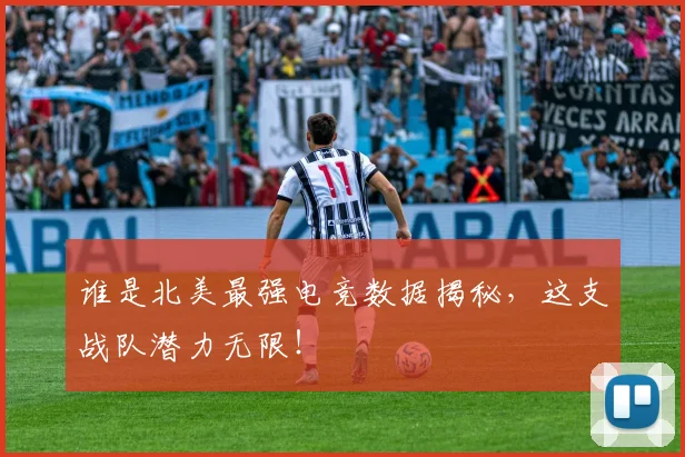 谁是北美最强电竞数据揭秘，这支战队潜力无限！